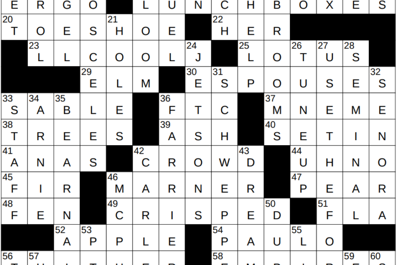 Broom Of Twigs Crossword Puzzle