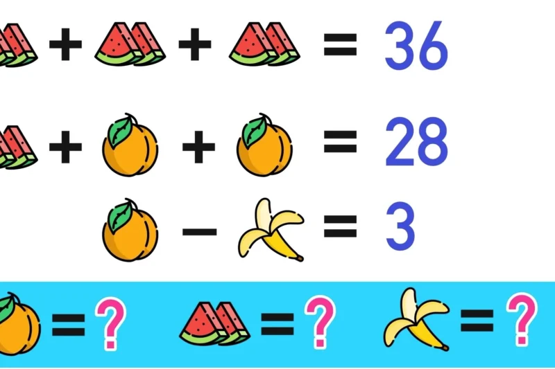 Logic Puzzle Math Worksheet Answer