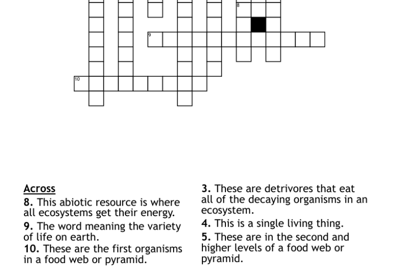 Crossword Puzzles For 7th Graders