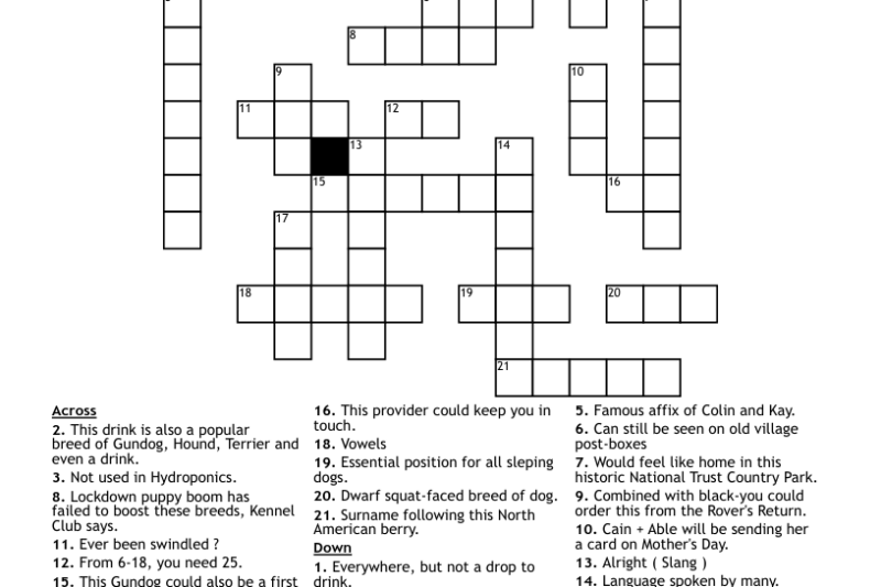 Clueless Crossword Puzzles