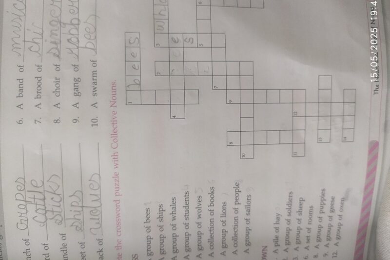 Fleet Of Ships Crossword Puzzle Clue