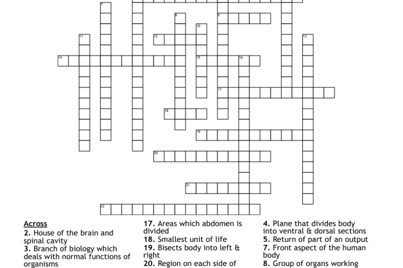 Anatomy Crossword Puzzles