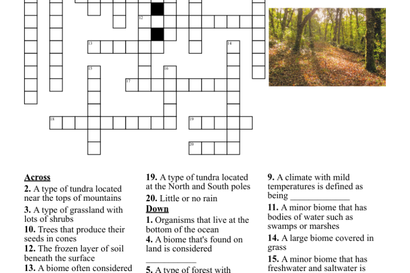 Biomes Puzzle Worksheet
