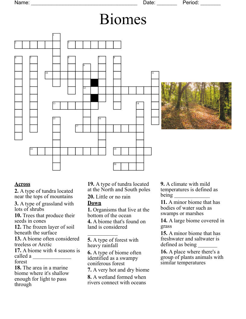 Biomes Habitats Worksheet WordMint