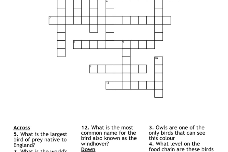 Bird Of Prey Crossword Puzzle Clue