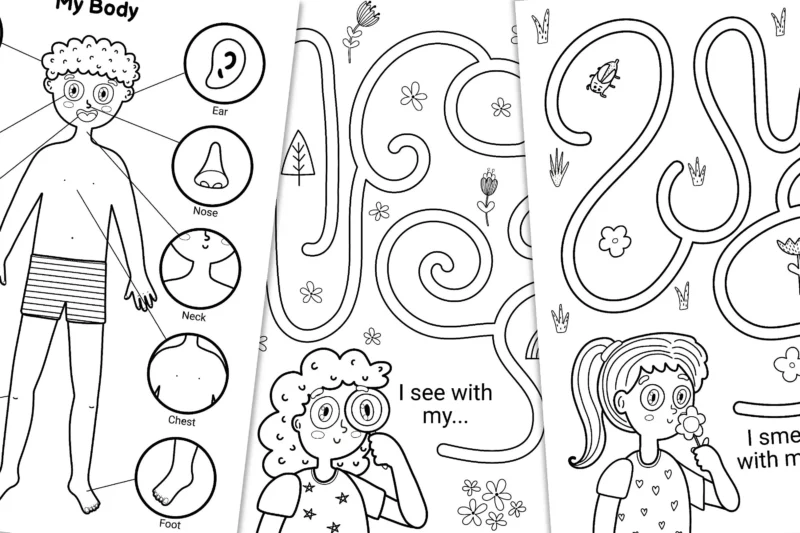 Toddlersimple Body Puzzle Worksheet