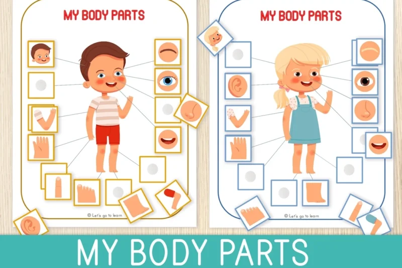 Toddler My Body Puzzle Worksheet