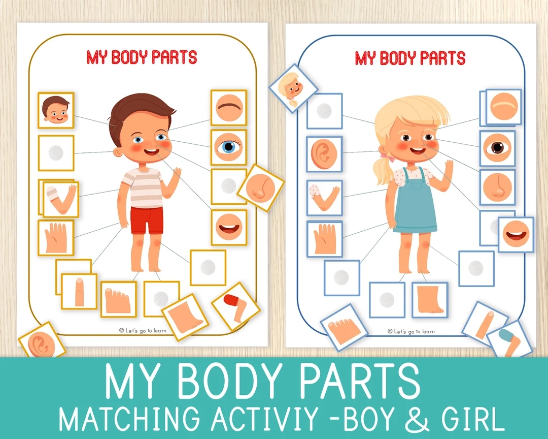 Body Parts Matching Activity Human Body Game Toddler U0026 Preschool Worksheets For Kids Busy Book Pages Homeschool Educational Game Etsy