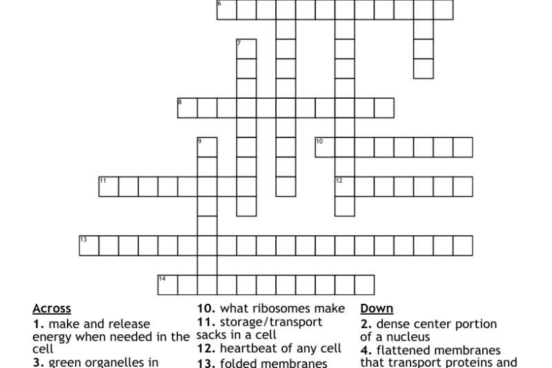 Cell Structure Crossword Puzzle Answer Key