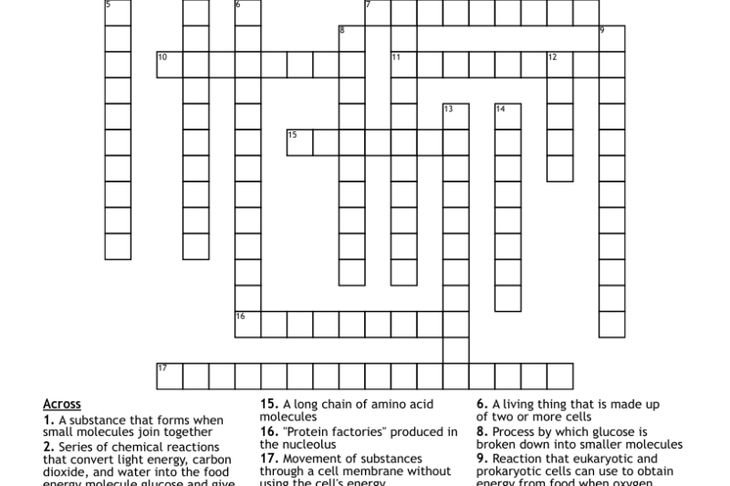 Characteristics Of Life Crossword Puzzle Answers