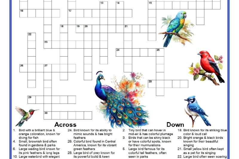 Colorful Bird Crossword Puzzle