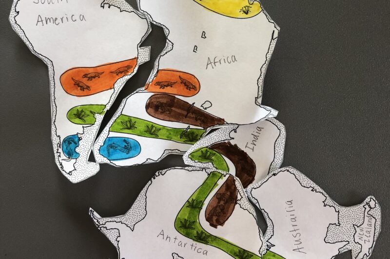 Pangea Puzzle Worksheet Usgs