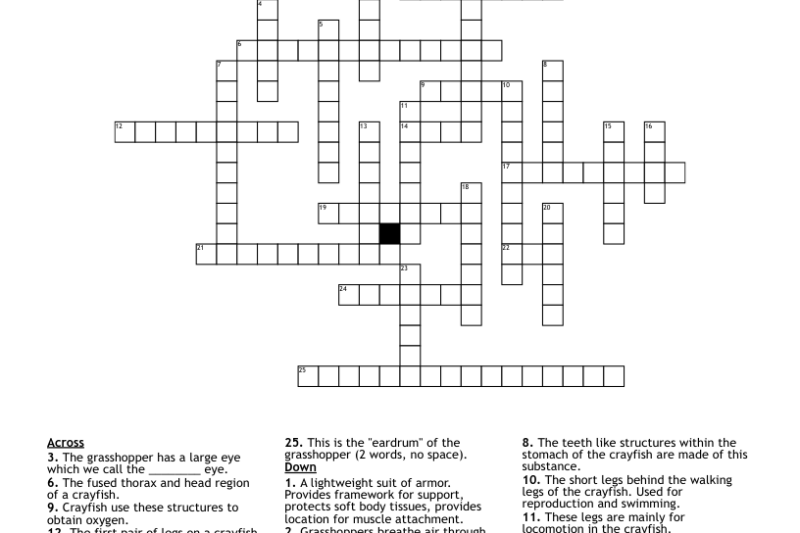 Grasshopper Crossword Puzzle