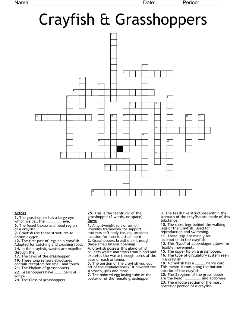 Crayfish U0026 Grasshoppers Crossword WordMint