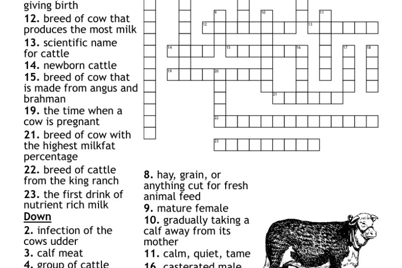 Cowshed Crossword Puzzle Clue