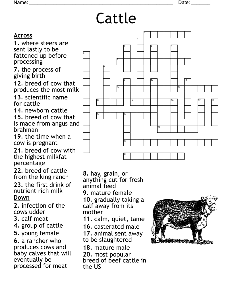 Dairy Cow Crossword Puzzle WordMint