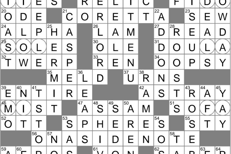 Dweeb Crossword Puzzle Clue