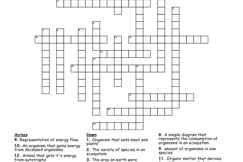Ecology Crossword Puzzle Worksheets