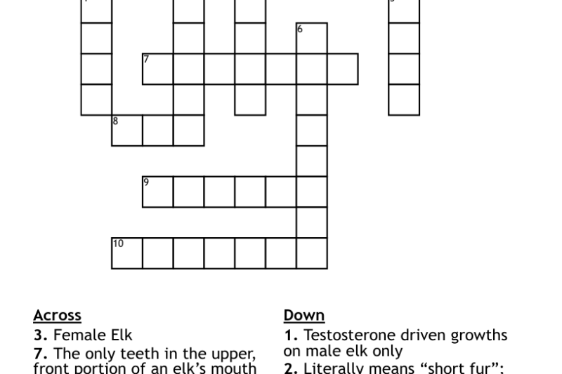 Elk Crossword Puzzle