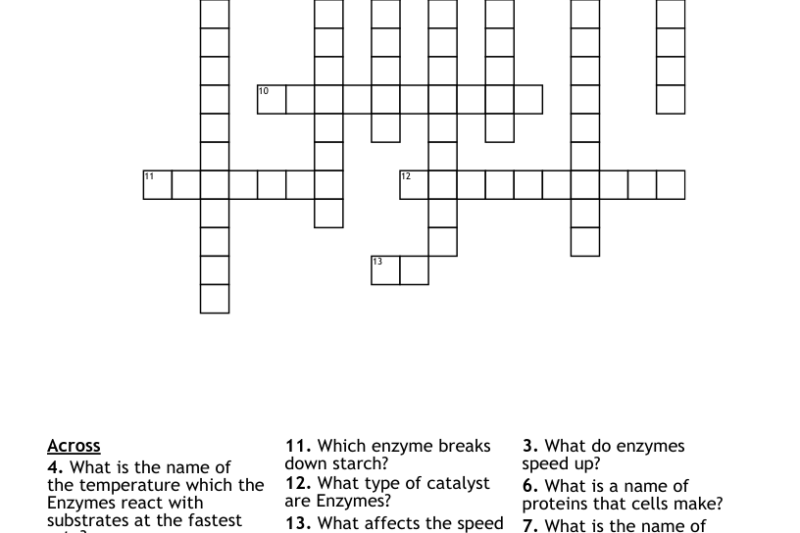 Enzyme Puzzle Worksheet