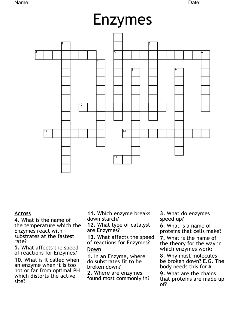 Enzymes Crossword WordMint