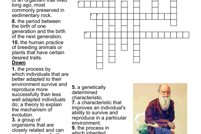 Evolution Puzzle Worksheet Answers