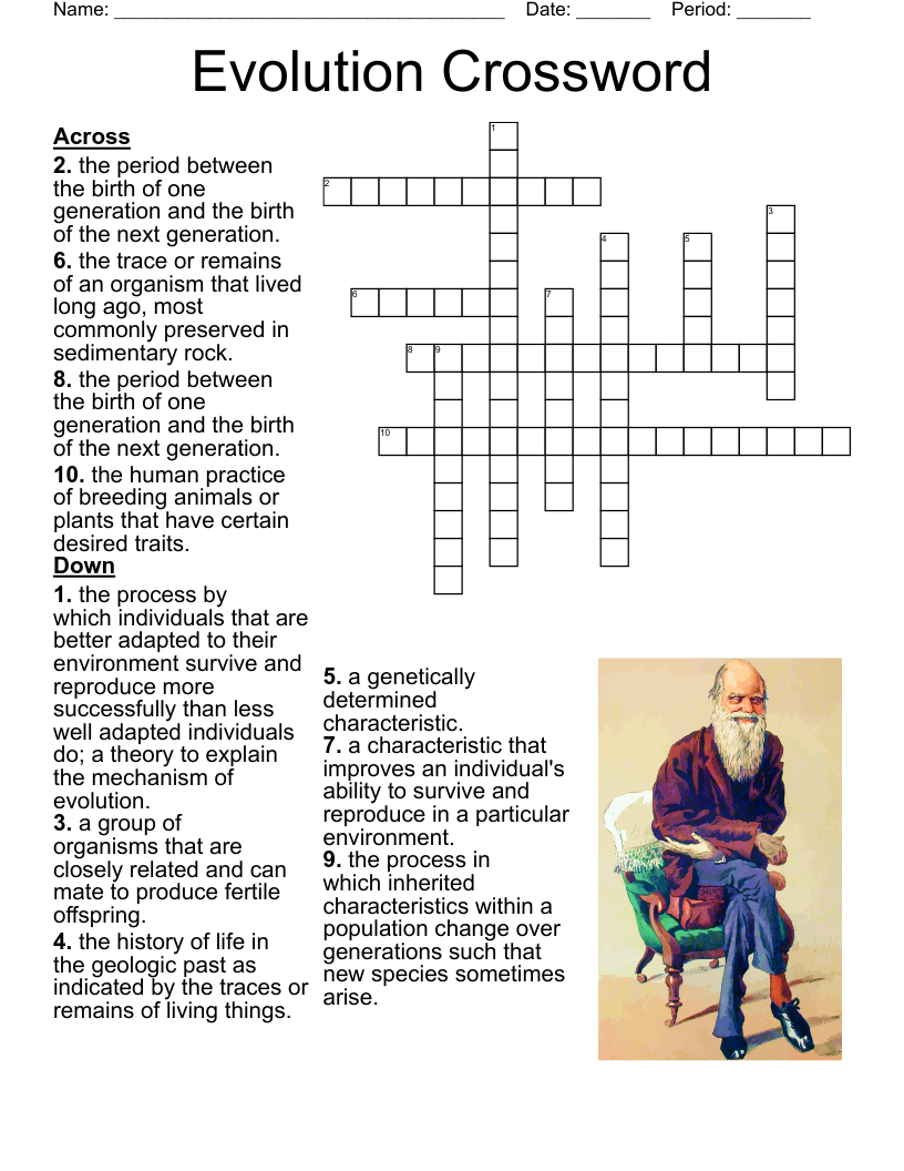 Evolution Puzzles WordMint