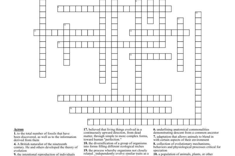 Evolution Vocabulary Worksheet Crossword Puzzle Answers