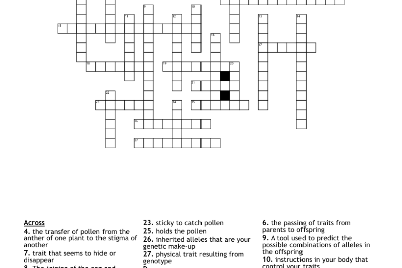 Genetics Crossword Puzzle Worksheet Answers