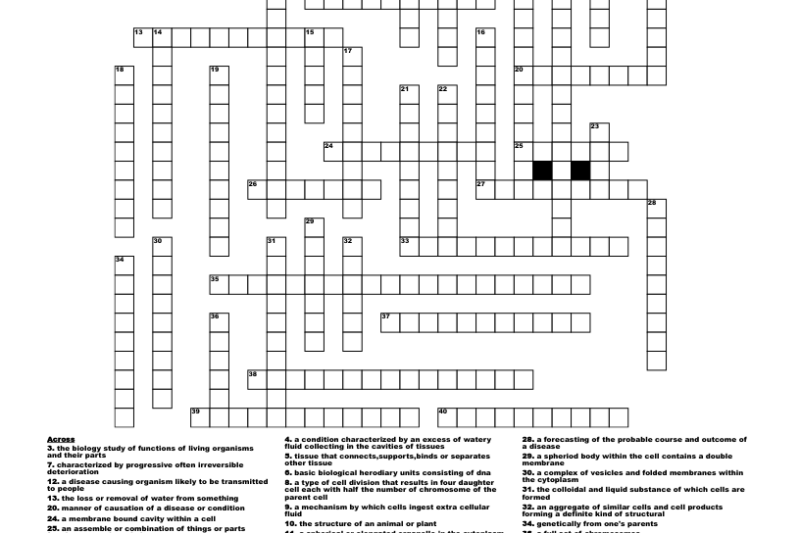 Printable Healthcare Crossword Puzzles