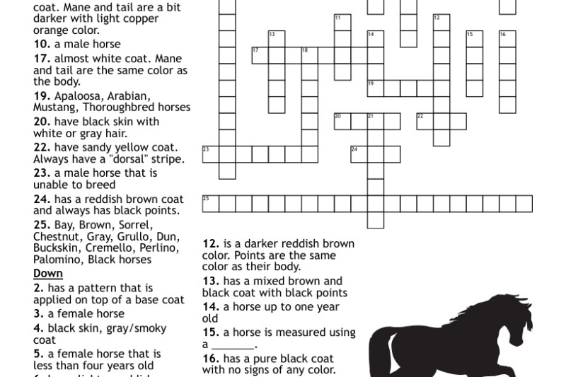 Dark Horse Crossword Puzzle Clue