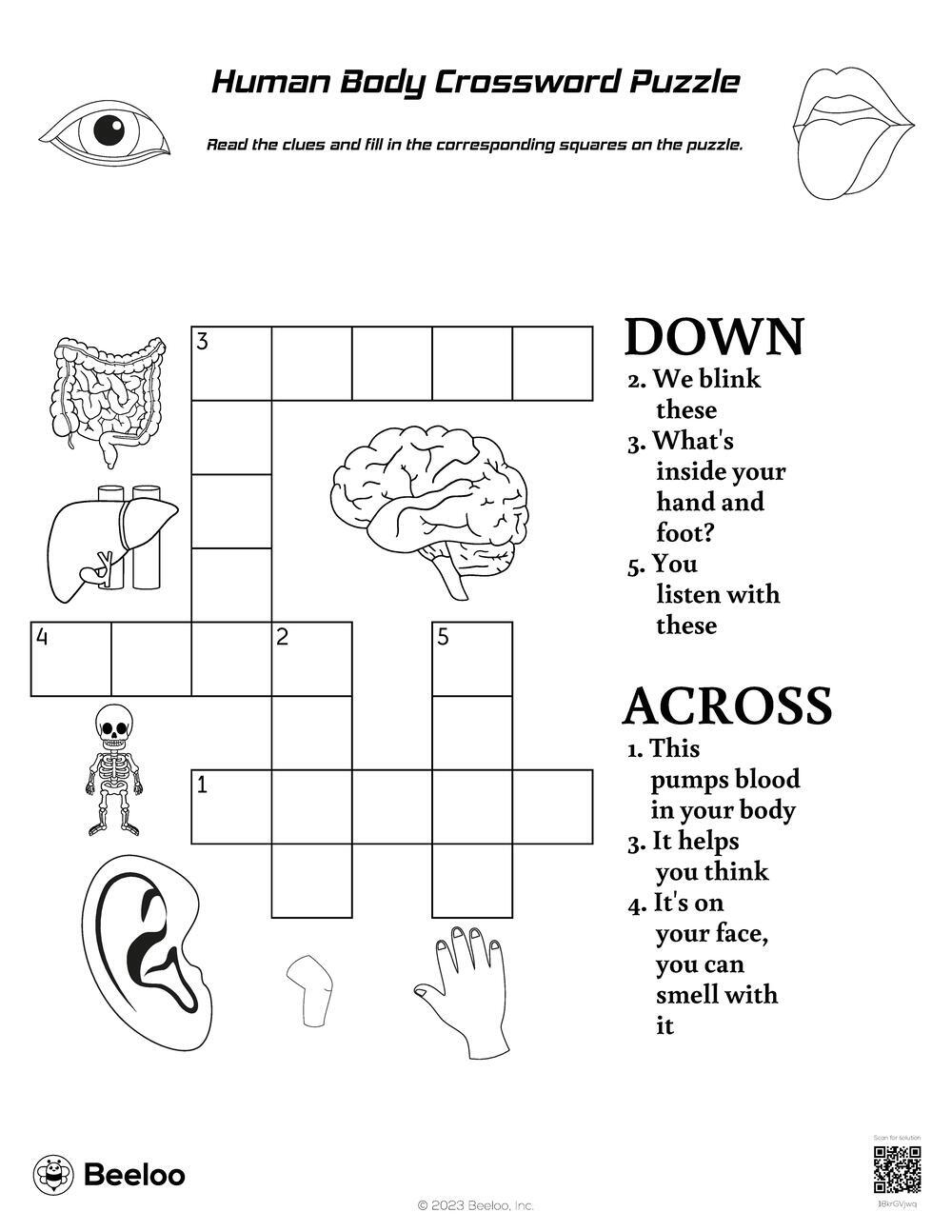 Human Body themed Crossword Puzzles Beeloo Printable Crafts And