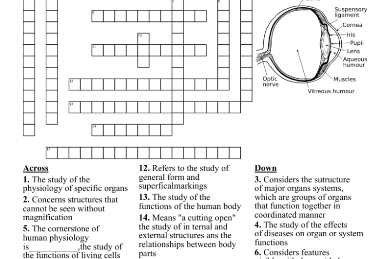 Printable Anatomy And Physiology Crossword Puzzles