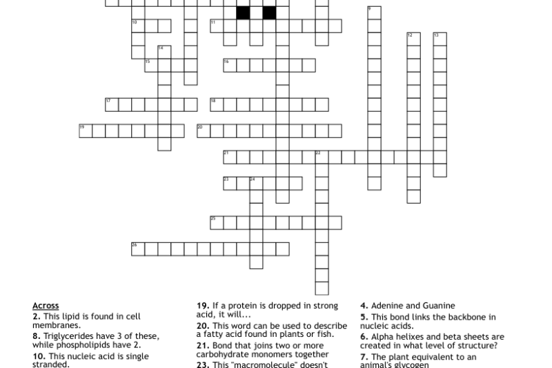 Macromolecules Crossword Puzzle