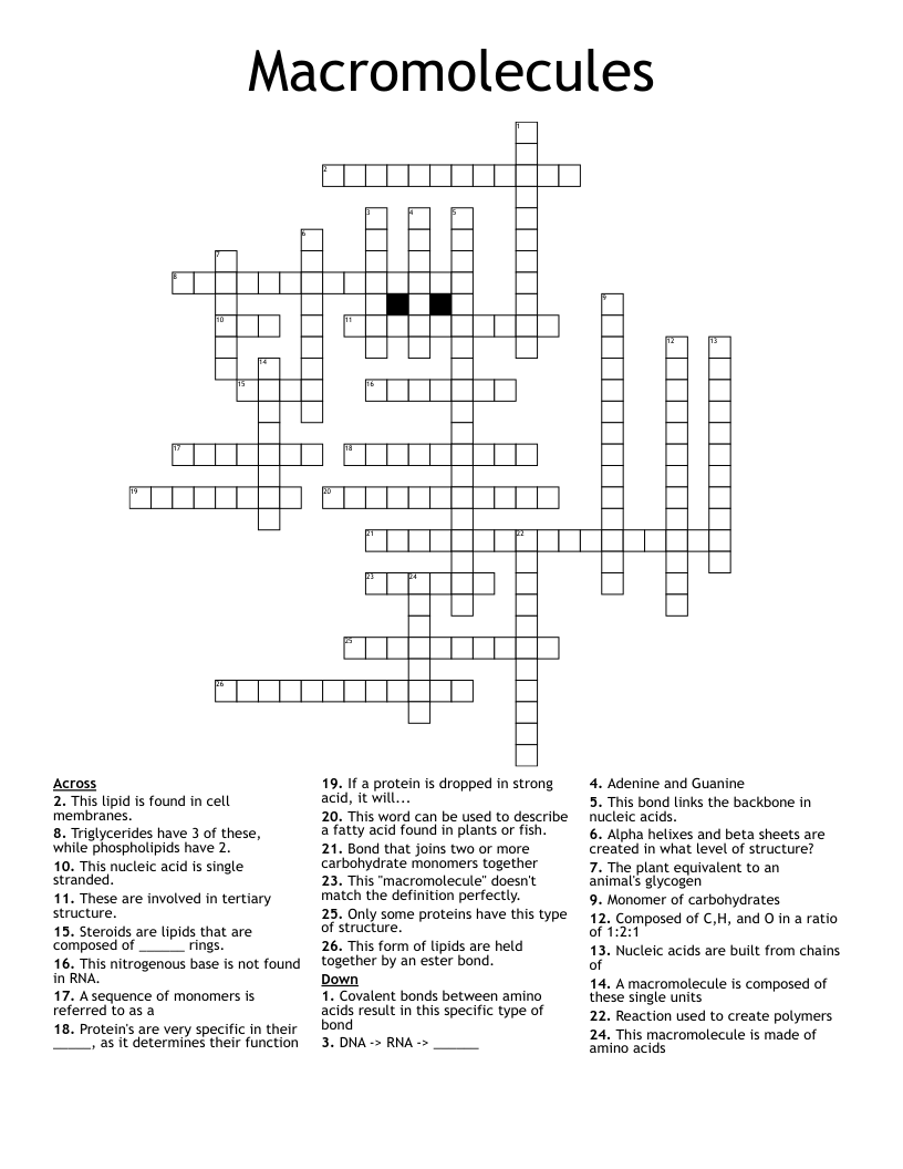 Macromolecules Crossword WordMint