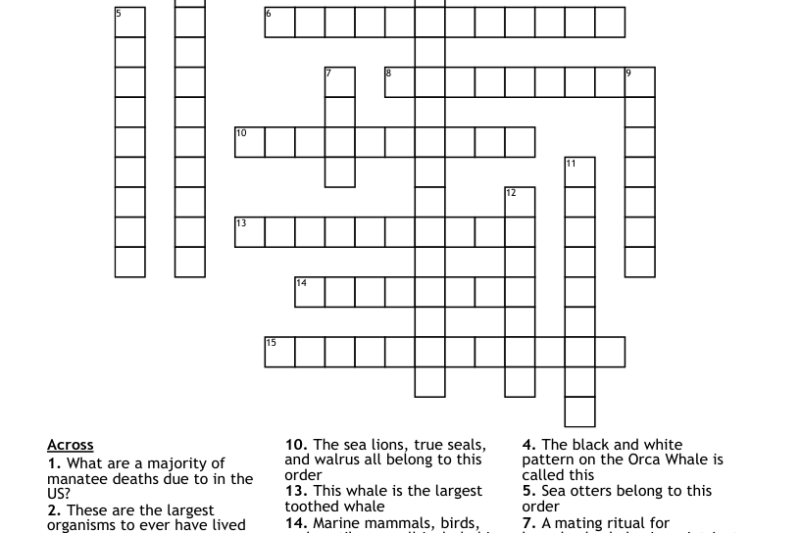 Marine Mammal Crossword Puzzle