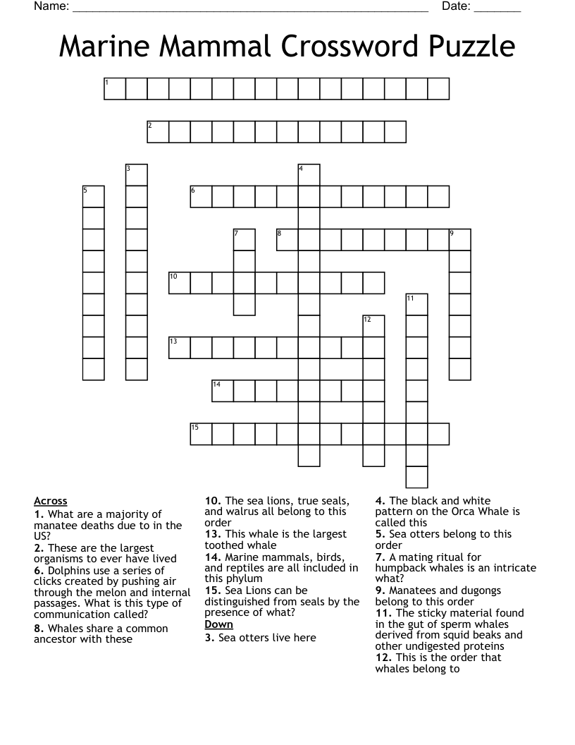 Marine Mammal Crossword Puzzle WordMint