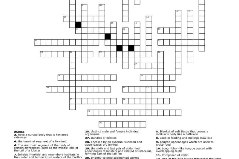 Marine Snail Crossword Puzzle Clue