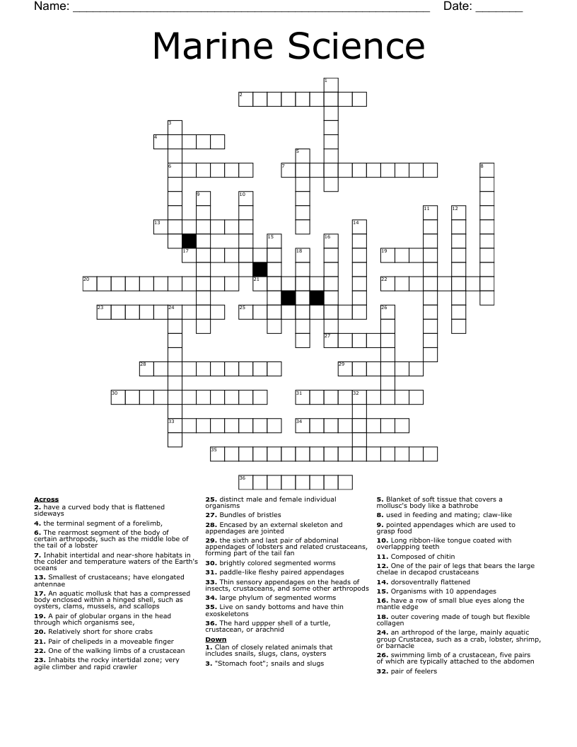 Marine Science Crossword WordMint