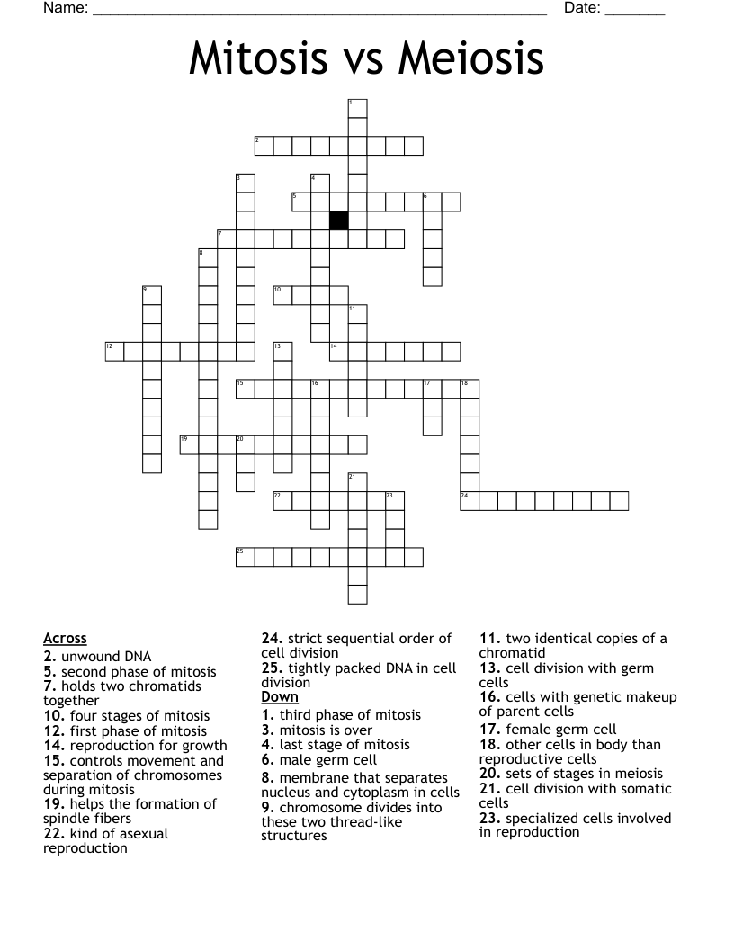 Mitosis Vs Meiosis Crossword WordMint