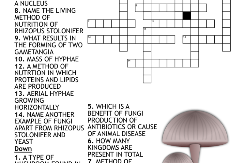 Mushroom Crossword Puzzle Clue