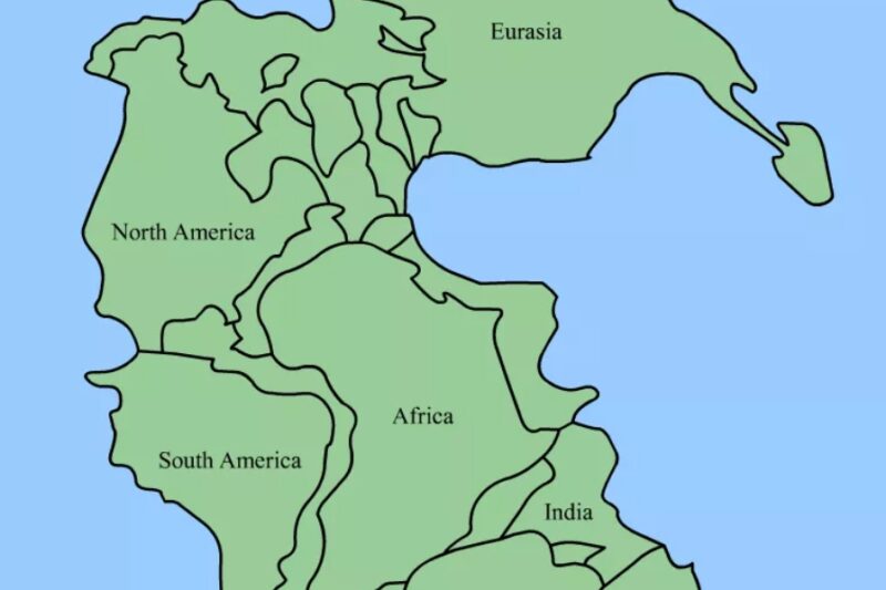 Pangea Puzzle Worksheet Cut Out Printable