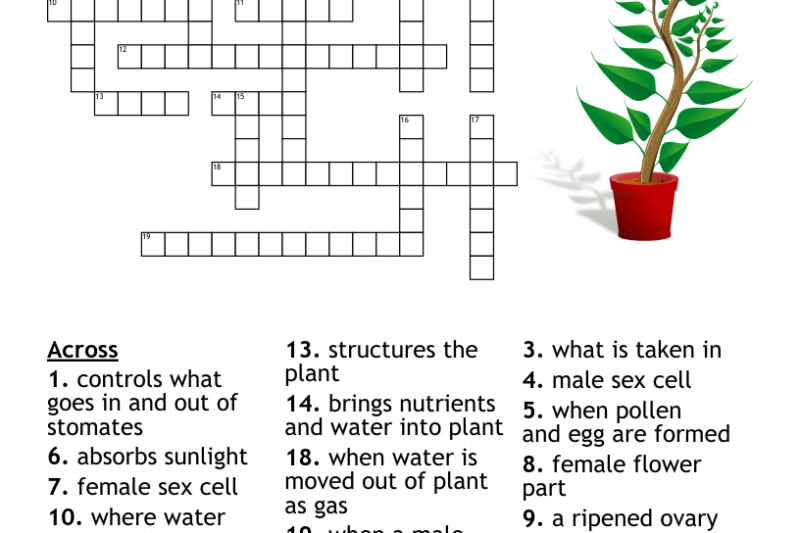 Plants Crossword Puzzle