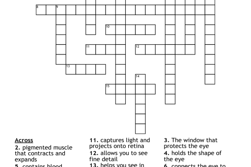 Eye Parts Crossword Puzzle Clue