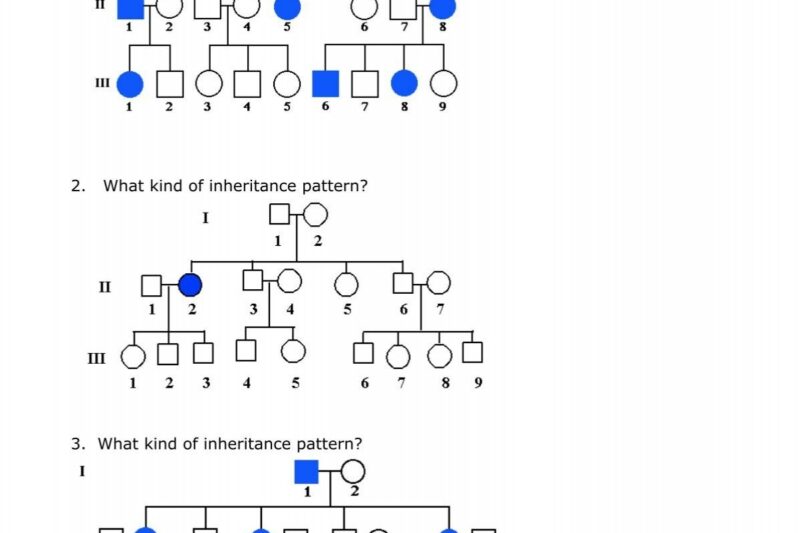 Puzzling Pedigrees Worksheet