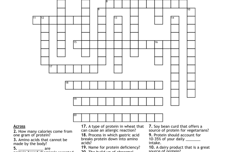 Printable Protein Crossword Puzzle