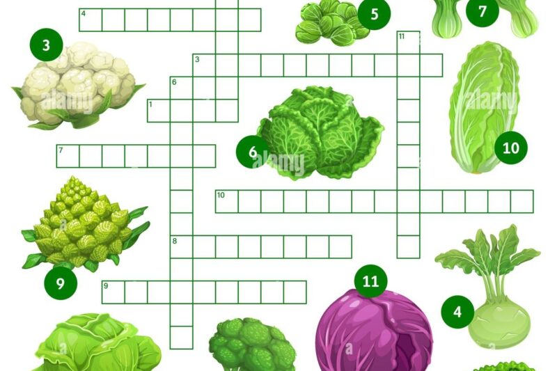 Variety Of Cabbage Crossword Puzzle Clue