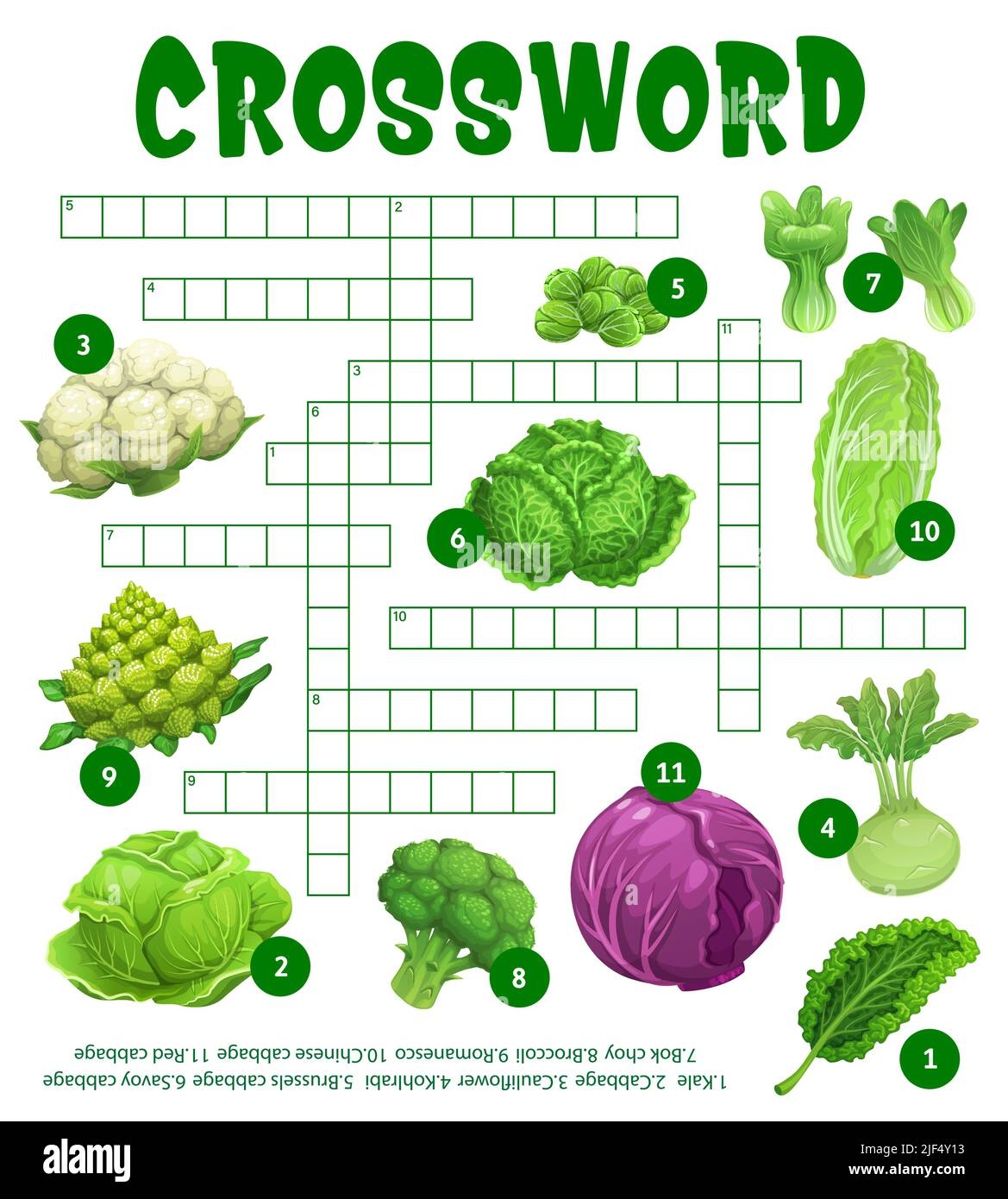 Raw Cabbage Vegetables On Crossword Puzzle Worksheet Find Word Quiz Game Vector Grid Kids Education Riddle Crossword To Guess Kohlrabi Cauliflower And Broccoli Cabbages With Kohlrabi And Kale Stock Vector Image U0026