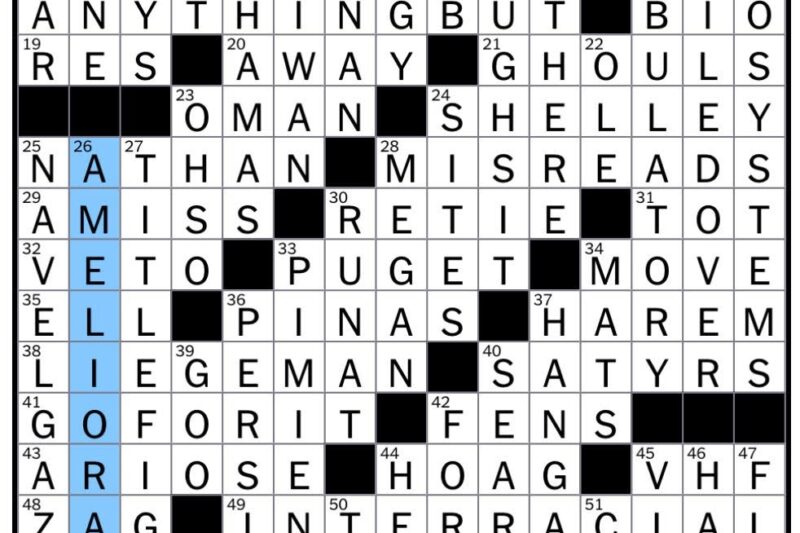 Loafer Crossword Puzzle Clue