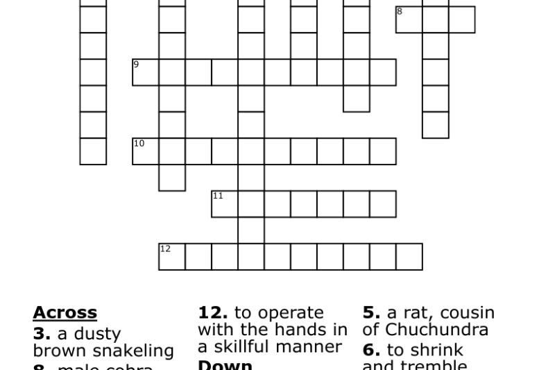 Mongoose Cousin Crossword Puzzle Clue